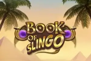 Book of Slingo
