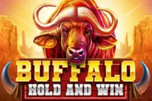 Buffalo Hold and Win