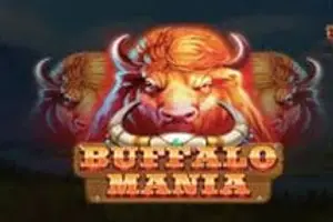 Buffalo Mania