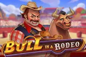 Bull in a Rodeo