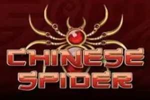 Chinese Spider