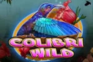 Colibri Wild