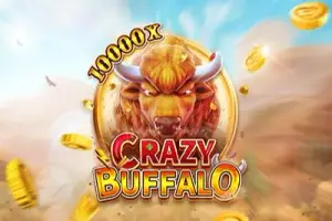 Crazy Buffalo