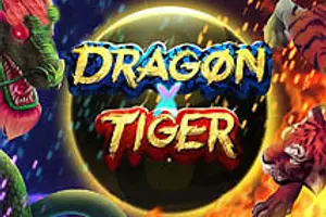 Dragon X Tiger