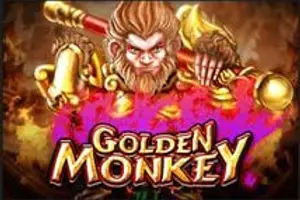 Golden Monkey