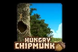 Hungry Chipmunk