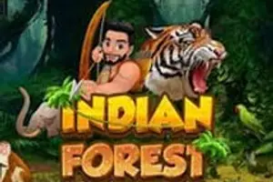 Indian Forest