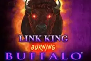 Link King Burning Buffalo