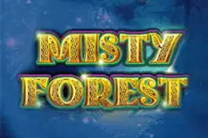 Misty Forest