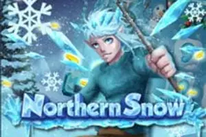 Northern Snow