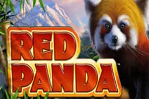 Red Panda
