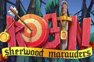 Robin: Sherwood Marauders