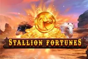 Stallion Fortunes