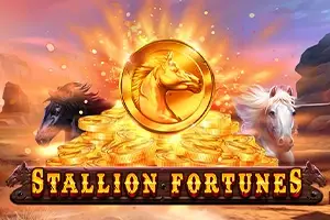 Stallion Fortunes