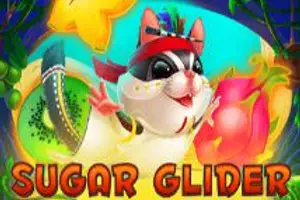 Sugar Glider