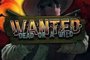 Wanted Dead or a Wild