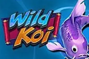 Wild Koi