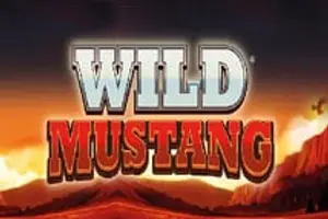 Wild Mustang