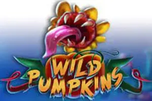 Wild Pumpkins