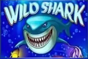 Wild Shark