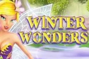 Winter Wonders